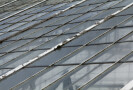 Greenhouse Roof, Clumber Park, Worksop